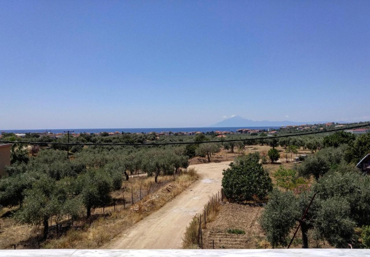 Olive Grove House Daire Limenaria  Dış mekan fotoğraf