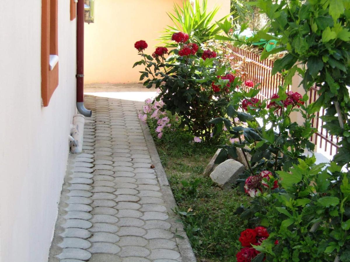 Olive Grove House Daire Limenaria  Dış mekan fotoğraf