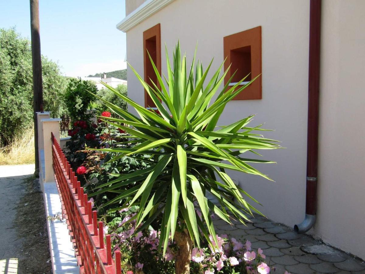 Olive Grove House Daire Limenaria  Dış mekan fotoğraf