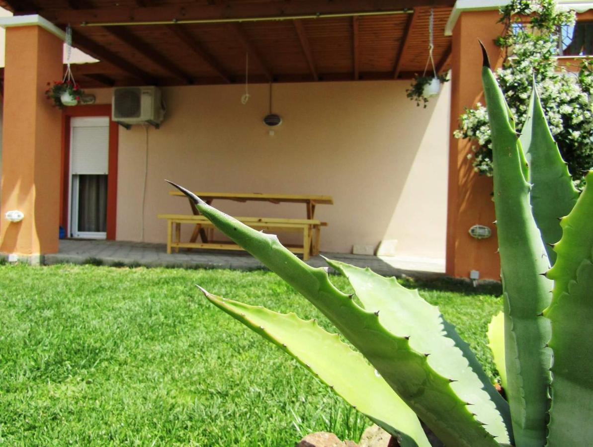 Olive Grove House Daire Limenaria  Dış mekan fotoğraf